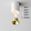 Миниатюра фото потолочный светодиодный светильник maytoni alfa led c064cl-8w2.7k-rd-wb | 220svet.ru
